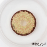 Urban Layer Brooklyn Brown