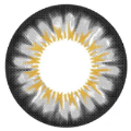 Sweety Chrysanthemum Grey