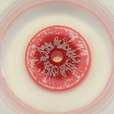 Sweety Crazy White Walker Pink