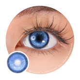 Sweety Koi Brilliant Blue