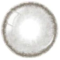 Sweety Bassia Grey