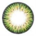 Sweety Colors Of The Wind No 19 Lime
