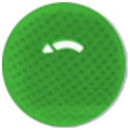 Sweety Crazy Green Mesh / Green Screen