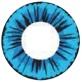 Sweety Crazy Petal Blue