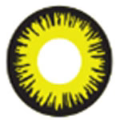 Sweety Crazy Solar Eclipse