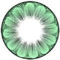 EOS Daisy 2 Tone Green - Candylens