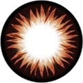 Geo Xtra Bella Brown Color Contact Lens