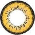 Vassen Dolly Plus Brown Color Contact Lens