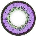 Vassen Kirei Violet Color Contact Lens