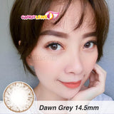 Royal Candy (monthly) Dawn Grey