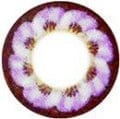 EOS Big Flower Violet Color Contact Lens - Candylens