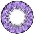 EOS Daisy 2 Tone Violet - Candylens