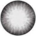 EOS Max Pure Gray Circle Lens - Candylens