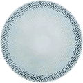 Erin Blue Color Contact Lens