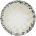 Erin Grey Color Contact Lens