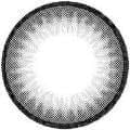 Fynale Dreamy Gray Color Contact Lens 