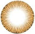 Fynale Glamourous Brown Color Contact Lens