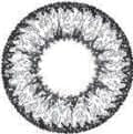 Geo Nudy Gray Color Circle Lens