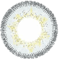 Hera Grey Color Contact Lens