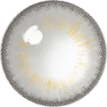 Louis Grey Color Contact Lens