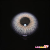 Pola Violet Color Contacts