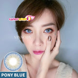 Royal Candy (monthly) Pony Blue