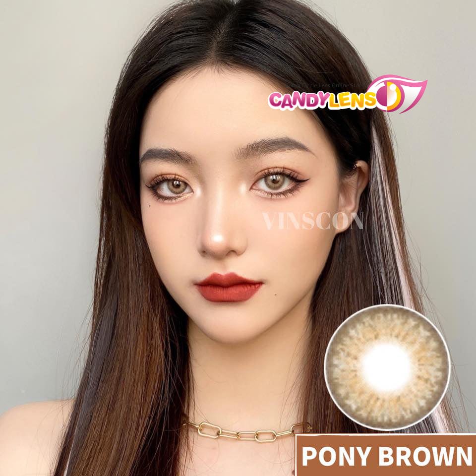 Royal Candy (monthly) Pony Brown