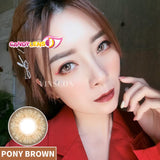 Royal Candy (monthly) Pony Brown