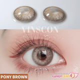 Royal Candy (monthly) Pony Brown