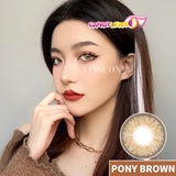 Royal Candy (monthly) Pony Brown