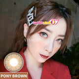 Royal Candy (monthly) Pony Brown