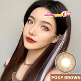 Royal Candy (monthly) Pony Brown