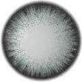 Royal Candy Dali Extra Gray Color Contact Lens