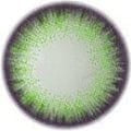 Royal Candy Dali Extra Green Color Contact Lens