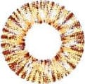 Royal Candy Shimmer Yellow Color Contact Lens