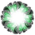 Royal Candy Tulips Green Color Contact Lens