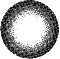 Vassen Seashell Color Lenses (0.00 only)