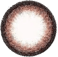 Vassen Seashell Color Lenses (0.00 only)
