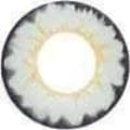 Vassen Butterfly Gray Color Contact Lens