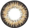 Vassen Florence Brown Color Contact Lens