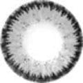 Vassen Jewel Gray Color Contact Lens